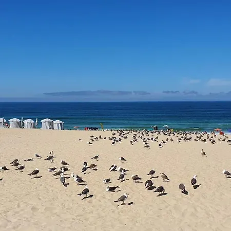 Boho Praia de Mira