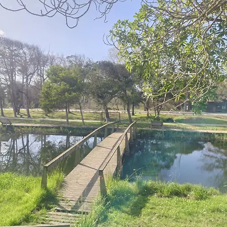 Appartement Boho Praia de Mira