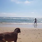 Boho