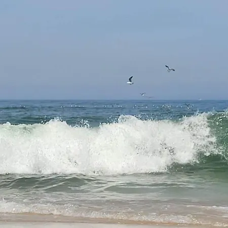 Boho Praia de Mira
